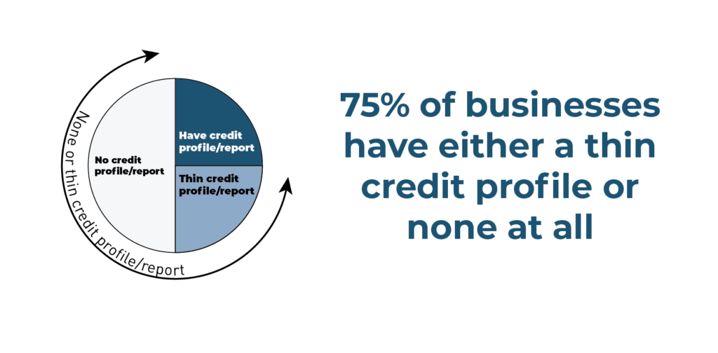 75% of small businesses have thin or no credit files