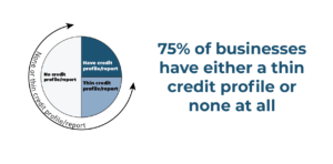 75% of small businesses have thin or no credit files